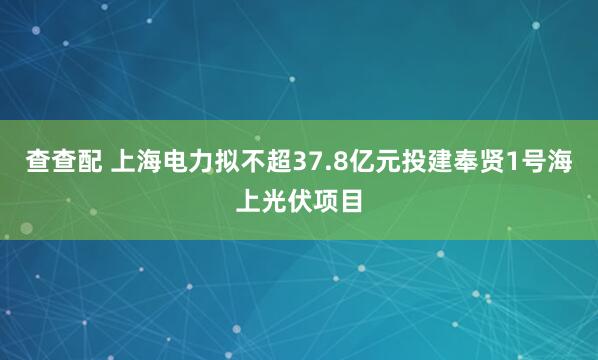 查查配 上海电力拟不超37.8亿元投建奉贤1号海上光伏项目