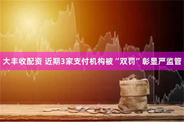 大丰收配资 近期3家支付机构被“双罚”彰显严监管