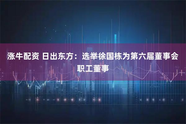 涨牛配资 日出东方：选举徐国栋为第六届董事会职工董事