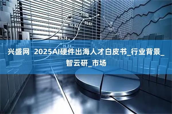 兴盛网 2025AI硬件出海人才白皮书_行业背景_智云研_市场