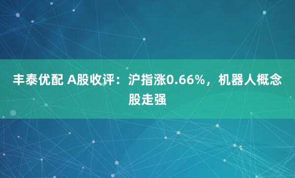 丰泰优配 A股收评：沪指涨0.66%，机器人概念股走强